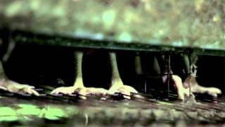 TRAILER DOCUMENTAL "LA CÁSCARA ROTA"