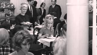 Opening Scene Clip