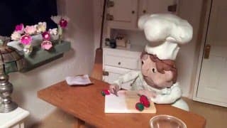 Chef Stef