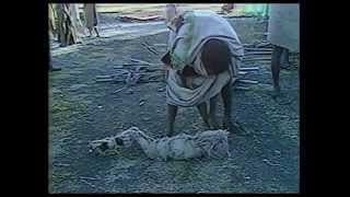 David Bowie - Introduction Of CBC Famine Program (Live Aid 7/13/1985)