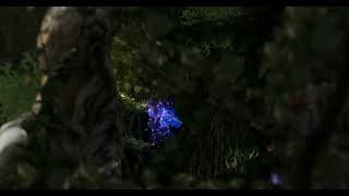 The Fox and The Grapes Official trailer