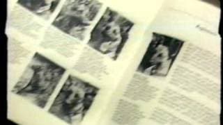 Going to the Dogs - Dutch Introduction(Journaal)