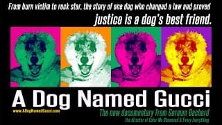 A DOG NAMED GUCCI - trailer 2