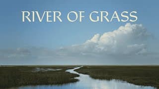 RIVER OF GRASS Official Trailer