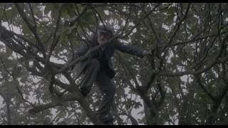Fig (Trailer)
