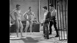 Full Film | Delicate Convict [D029]