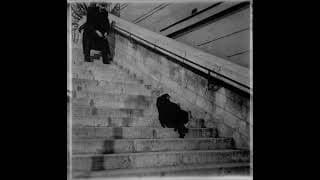 CHIEN, CANICHE NOIR DASCENDANT ET MONTANT UN ESCALIER 1896 1897 Silent film Étienne Jules Marey