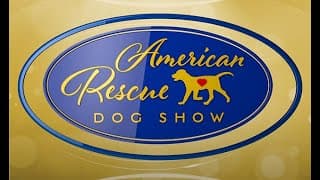 2018 American Rescue Dog Show Preview - Hallmark Channel