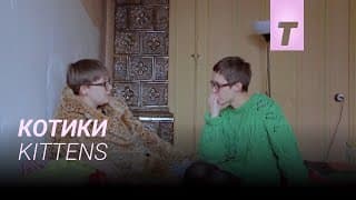 Котики / Kittens