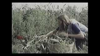 American Commune Trailer
