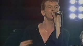 The Stranglers Absolut Live (1997)