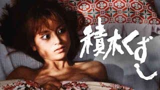 渡辺典子　積み木くずし　1983　劇場版