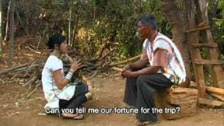 Kayan Beauties Trailer