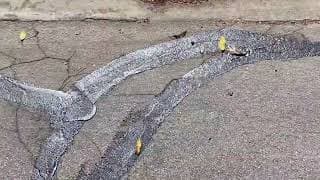 Introduction to Crack Sealing (2022) Max Devereaux Short Film