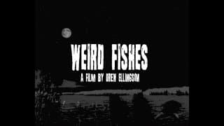 Weird Fishes (2024 Short Horror FIlm)