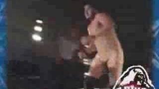 PWG Smells Like Steen Spirit