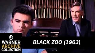 Black Zoo (Preview Clip)