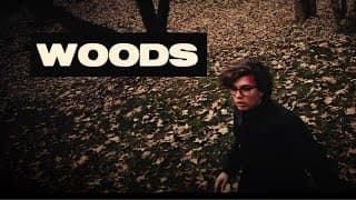 woods