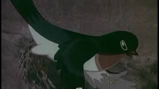小燕子 1960年 上海美术电影制片厂 the little swallow 中国アニメ Chinese Animation 水墨动画片