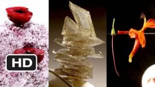 El Bulli: Cooking in Progress (2011) Official HD Trailer