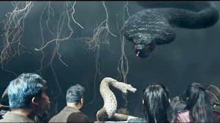 Giant Python | 巨兽狂蟒 2021 Trailer