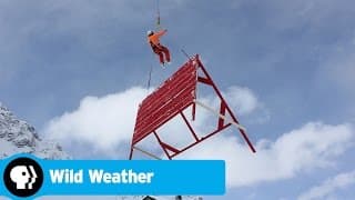 WILD WEATHER | Official Trailer | PBS