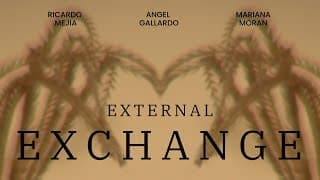 External Exchange.