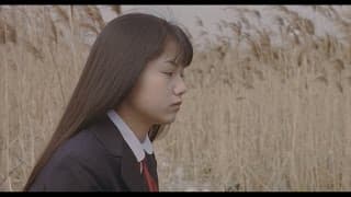 Bande-annonce: Harmful Insect - 害虫 (2001) de Akihiko Shiota