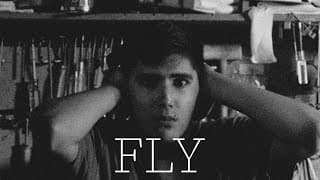 Fly (Second Edit)