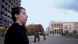 THERE ARE NO LIONS IN TEL AVIV (Trailer)