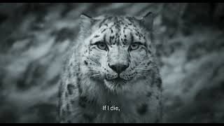 Snow Leopard - Pema Tseden - Bande-annonce