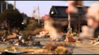 Birders: The Central Park Effect & The Tsunami and the Cherry Blossom - Trailer (HBO Docs)