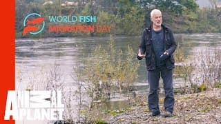 Join Jeremy Wade In Celebrating World Fish Migration Day