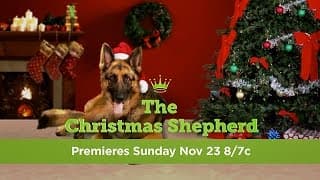 The Christmas Shepherd