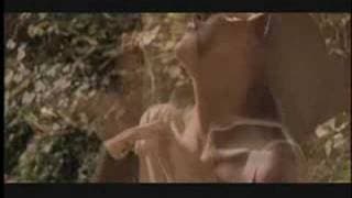 Ardor (2002) - 밀애 - Trailer