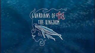 Guardians of the Kingdom VR
