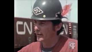 Incident at Restigouche 1981 (Mi'gwetetm 81)