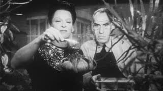 The Spider Woman Strikes Back (1946) Original Trailer