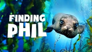 Finding Phil Preview