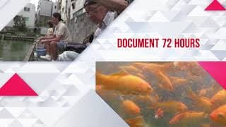 Document 72 Hours