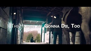 The Horses are Gonna Die, Too Teaser