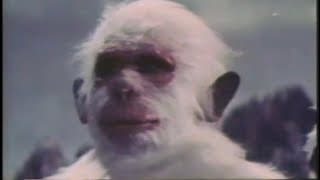 White Monkey vs Demon Ogre clip