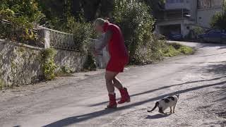Mr. Dimitris and Mrs. Dimitroula trailer