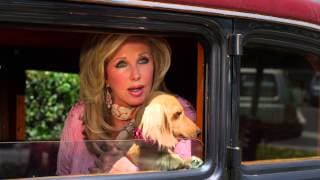 Wiener Dog Internationals