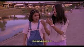 The Aesthetics of Puppy Love Video Essay