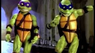 We Wish You a Turtle Christmas