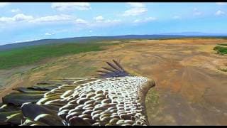 Earthflight - Official Trailer
