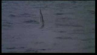 CRUEL JAWS (1995) Trailer