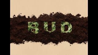 Bud (Short Film Trailer) 4K