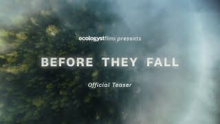 Ecologyst Films presents "Before They Fall" | Official Teaser